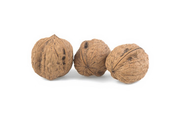 nut in the peel on a white background