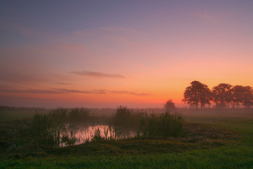 Teich vor Sonnenaufgang im Bremer Blockland