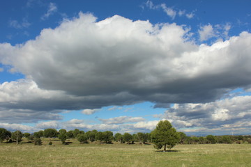 Obraz premium Shadow cloud