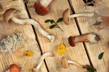 mushrooms on a wooden rustic background
