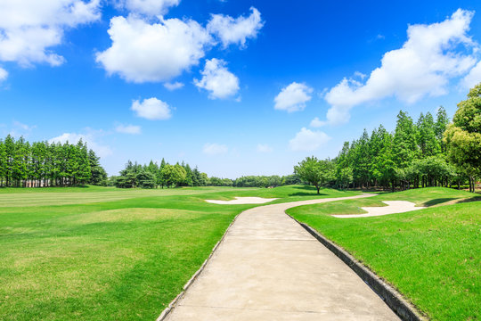 Cement Road And Green Meadow With Forest In City Park