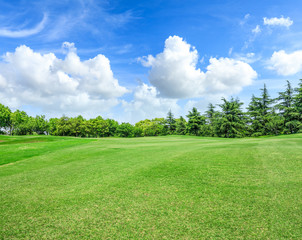 Green square lawn and forest natural landscape in city park