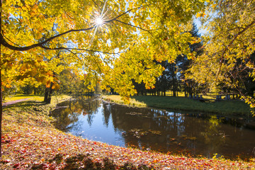 Fototapeta na wymiar Autumn foliage in Catherine park, Pushkin, Saint Petersburg, Russia