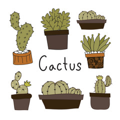 cactus vector collection design