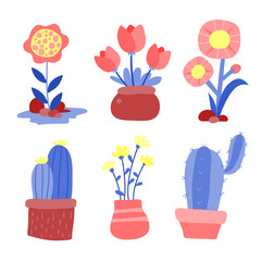 cactus vector collection design