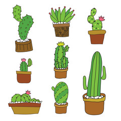 cactus vector collection design