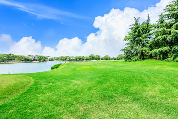 Green square lawn and forest natural landscape in city park