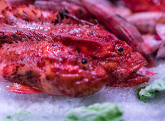Markthalle roter Fisch