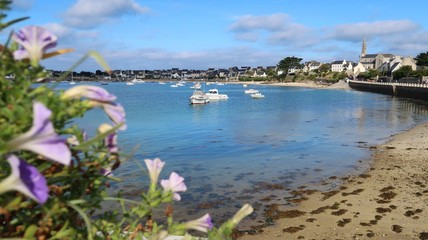 Panorama sur le port et le bourg de l'île de Batz, en Bretagne (France)