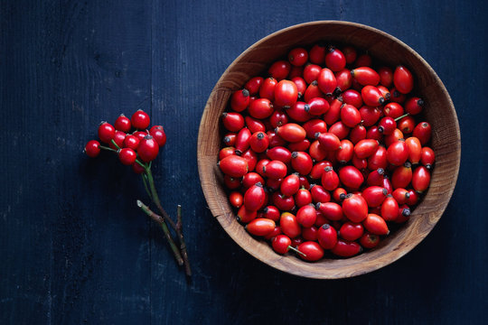 Freshly picked rose hips. Rose hips of the dog rose.