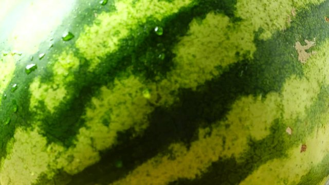 Watermelon, close-up shot.	Shooting in the movement.	