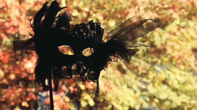 Black Carnaval Mask autumn street
