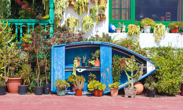 Flowery facade by the sea in Punta de Mujeres - Lanzarote / Canarias ( Spain )