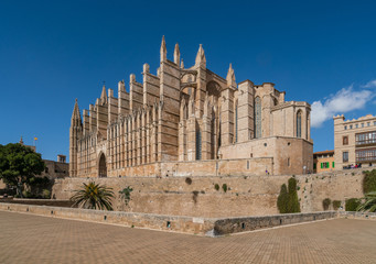 Pa&ouml;ma Kathedrale La Seu