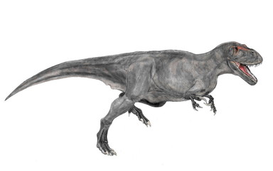 Obraz na płótnie Canvas トルボサウルス・タネリ。ジュラ紀後期の北米に生息した恐竜。大型獣脚類。ずんぐりした体形は分厚い脂肪に包まれていて、専ら他の肉食恐竜が仕留めた獲物を横取りしていたのではないか。多少の反撃を受けても素知らぬ顔で横取りした獲物にかぶりつく。太く強靭な歯は横取りした獲物を骨ごと咬み砕く力があった。全長は10メートル程度で、この時期の獣脚類としては大型。2018年のイラスト画像。
