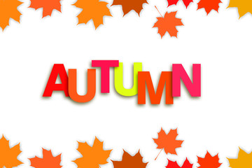 Autumn background with multi-colored autumn leaves. White background.