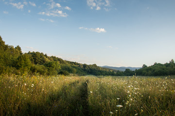 idyllic field with hills in the background
