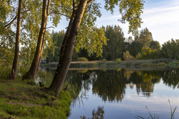 Fototapeta na wymiar Calm river with reflections of surrounding trees