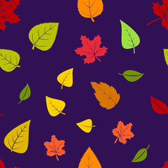 Seamless pattern with colorful autumn leaves on purple background. Vector illustration