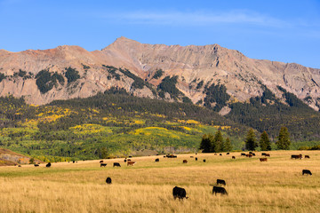 Fototapeta premium The San Juan Mountains of Colorado in Autumn