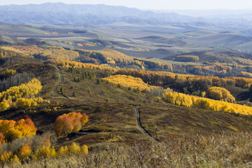 Autumn. Natural landscape. Bright colors of the autumn forest on the rocky slopes of the mountains. The Altai Mountains. Eastern Kazakhstan.
