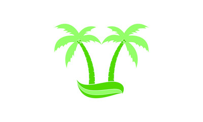 Palm tree and the wave vector