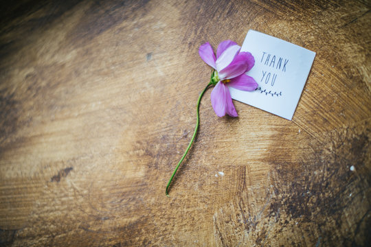 withered flower and card with an inscription Thank you on it. disappointment and sad ironic message. Wooden background. when the relationship is complicated