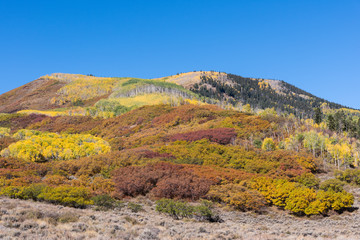 Fototapeta na wymiar The San Juan Mountains of Colorado in Autumn