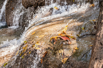 Small waterfall with dead leaves