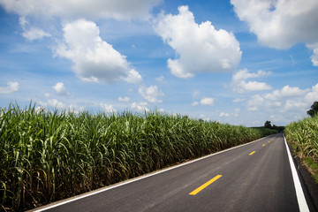 Fototapeta premium asphalt road and clouds on blue sky.