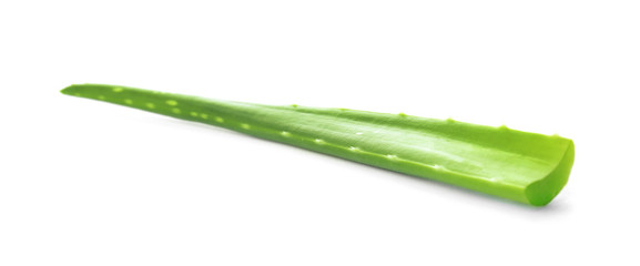 Aloe vera leaf on white background