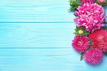 Beautiful aster flowers and space for text on wooden background, flat lay