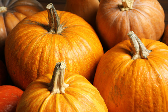 Many orange pumpkins as background, closeup. Autumn holidays