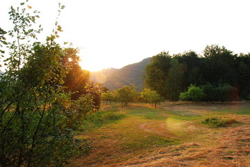 Morning landscape, view of sunrise on a meadow with mountains in the background