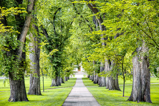 Into the Oval at CSU