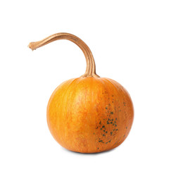 Whole fresh raw pumpkin isolated on white