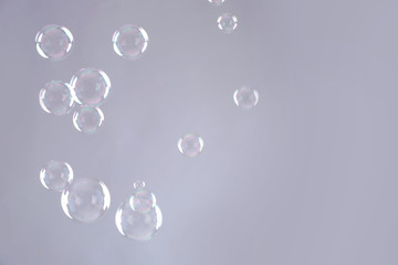 Beautiful translucent soap bubbles on grey background. Space for text