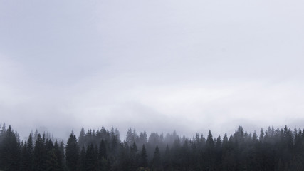 misty morning landscape with fog