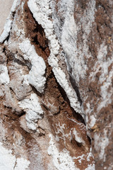 texture of salt rock