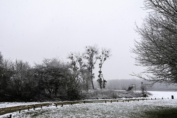Giboulée de première neige sur arbres au bord de Loire 41220
