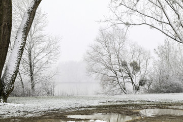 Giboulée de première neige sur arbres au bord de Loire 41220