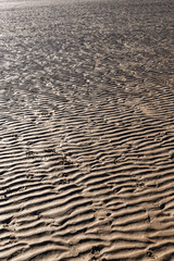 Sand rippled textured pattern created by low tide. Abstract background
