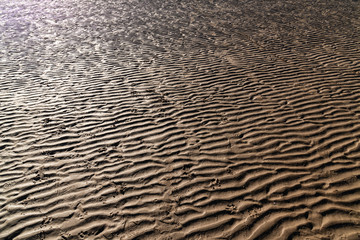 Sand rippled textured pattern created by low tide. Abstract background