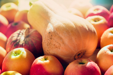 closeup of pumpkins and apples