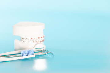 Orthodontic dental model in oral health concept.