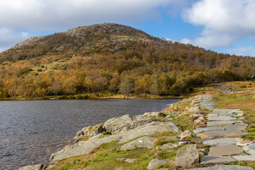 hill in autumn colors