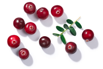 Cranberries v. oxycoccus, paths