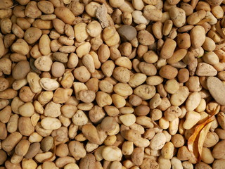 rock,stone in garden floor,background of stone