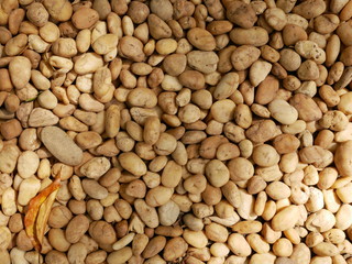 rock,stone in garden floor,background of stone