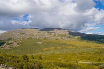 Landscape of green valley flooded with light and lush green grass and trees, mountains, covered with stone, a fresh summer day under a blue sky with white clouds and sun rays in Altai mountains